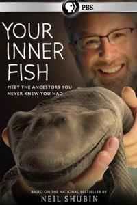 Внутренняя рыба